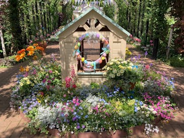 横浜イングリッシュガーデンに投稿された画像（2025/4/22）