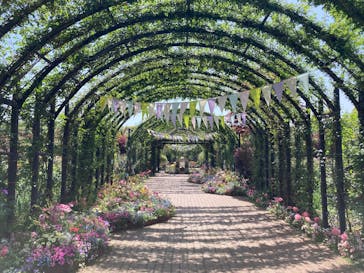 横浜イングリッシュガーデンに投稿された画像（2025/4/22）