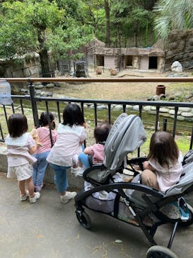 名古屋市東山動植物園に投稿された画像（2025/4/22）