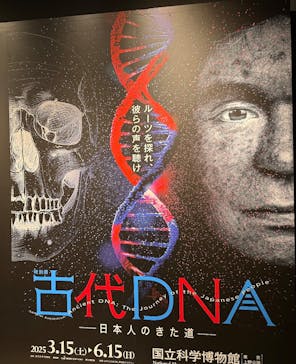 特別展「古代DNA－日本人のきた道」（国立科学博物館）に投稿された画像（2025/4/22）