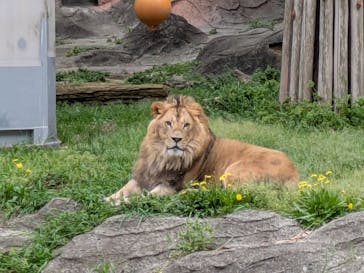 名古屋市東山動植物園に投稿された画像（2025/4/22）