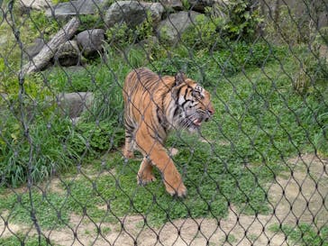 名古屋市東山動植物園に投稿された画像（2025/4/22）