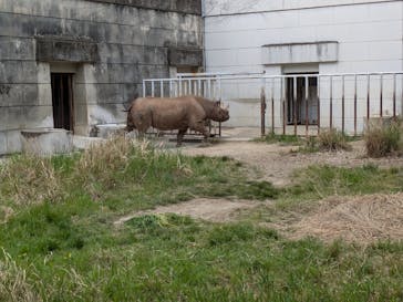名古屋市東山動植物園に投稿された画像（2025/4/22）