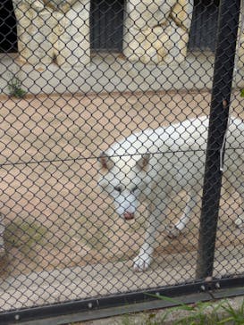 名古屋市東山動植物園に投稿された画像（2025/4/22）