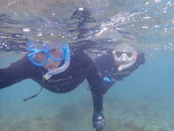 葉山ダイビングサービスに投稿された画像（2025/4/22）