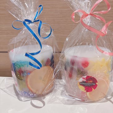 ずこうしつ〜sugamo〜に投稿された画像（2025/4/22）