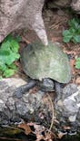 体感型動物園iZooに投稿された画像（2025/4/22）