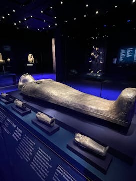 ACN ラムセス大王展 ファラオたちの黄金に投稿された画像（2025/4/22）