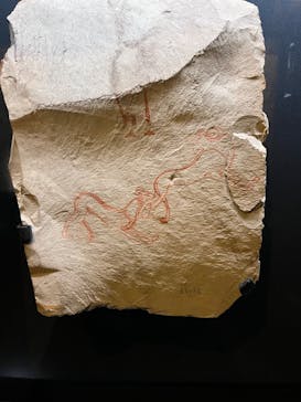 ACN ラムセス大王展 ファラオたちの黄金に投稿された画像（2025/4/22）