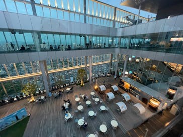 ハルカス300(展望台)に投稿された画像（2025/4/22）