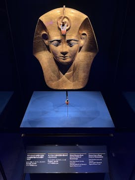 ACN ラムセス大王展 ファラオたちの黄金に投稿された画像（2025/4/22）