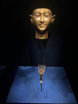 ACN ラムセス大王展 ファラオたちの黄金に投稿された画像（2025/4/22）