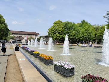 東京国立博物館に投稿された画像（2025/4/22）