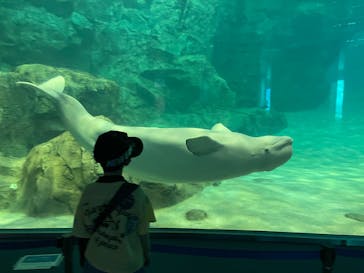 名古屋港水族館に投稿された画像（2025/4/22）