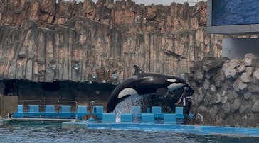 名古屋港水族館に投稿された画像（2025/4/22）