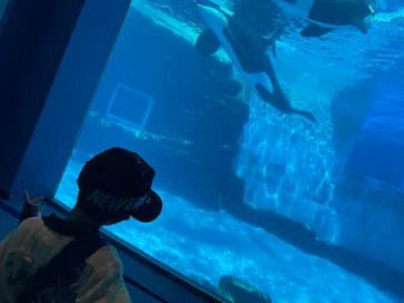 名古屋港水族館に投稿された画像（2025/4/22）