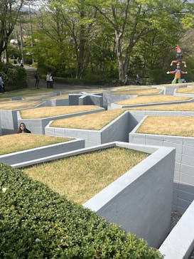 彫刻の森美術館に投稿された画像（2025/4/22）