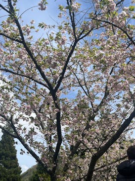 彫刻の森美術館に投稿された画像（2025/4/22）