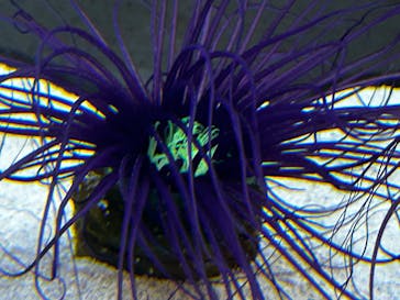 AOAO SAPPOROに投稿された画像（2025/4/22）