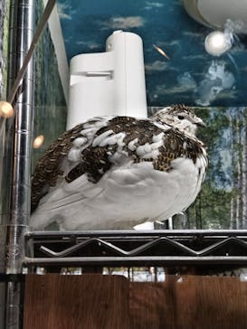 那須どうぶつ王国に投稿された画像（2025/4/22）