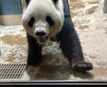 恩賜上野動物園に投稿された画像（2025/4/23）