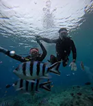 武藤潜水に投稿された画像（2025/4/23）