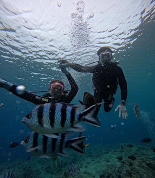 武藤潜水に投稿された画像（2025/4/23）