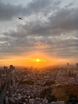 手塚治虫「火の鳥」展－火の鳥は、エントロピー増大と抗う動的平衡＝宇宙生命の象徴－に投稿された画像（2025/4/23）