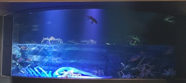 竹島水族館に投稿された画像（2025/4/23）