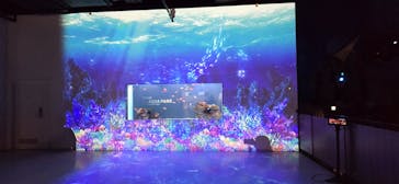 マクセル アクアパーク品川に投稿された画像（2025/4/23）