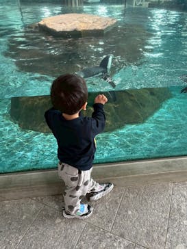 NIFREL（ニフレル）に投稿された画像（2025/4/23）