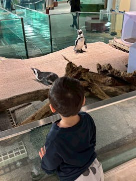 NIFREL（ニフレル）に投稿された画像（2025/4/23）