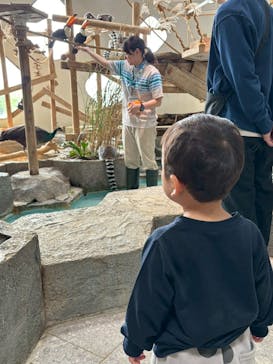 NIFREL（ニフレル）に投稿された画像（2025/4/23）