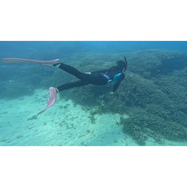 本部ダイビングショップTI.OCEANに投稿された画像（2025/4/23）