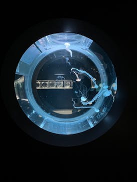 AOAO SAPPOROに投稿された画像（2025/4/23）