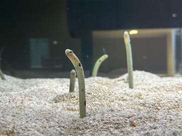 AOAO SAPPOROに投稿された画像（2025/4/23）