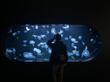 AOAO SAPPOROに投稿された画像（2025/4/23）