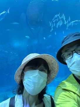 沖縄美ら海水族館に投稿された画像（2025/4/23）