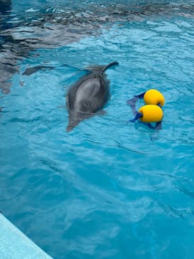 マリンワールド海の中道に投稿された画像（2025/4/23）