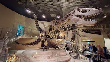 国立科学博物館に投稿された画像（2025/4/23）