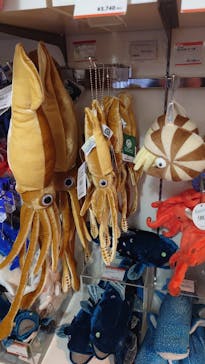 国立科学博物館に投稿された画像（2025/4/23）