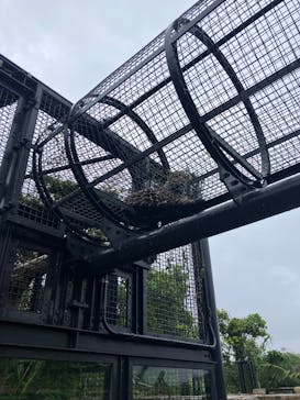 沖縄こどもの国に投稿された画像（2025/4/23）