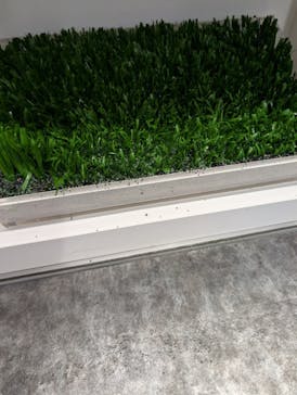 TOKYO DOME TOUR（東京ドーム）に投稿された画像（2025/4/23）