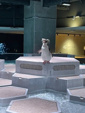 AOAO SAPPOROに投稿された画像（2025/4/23）