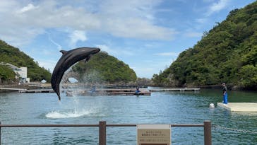太地町立くじらの博物館に投稿された画像（2025/4/23）