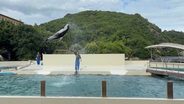 太地町立くじらの博物館に投稿された画像（2025/4/23）