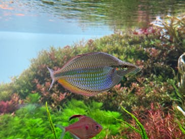 AOAO SAPPOROに投稿された画像（2025/4/23）