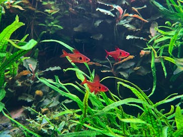 AOAO SAPPOROに投稿された画像（2025/4/23）