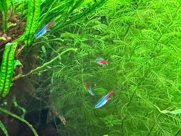 AOAO SAPPOROに投稿された画像（2025/4/23）