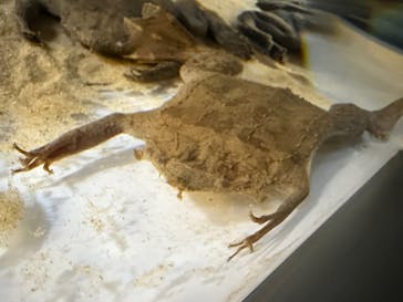 AOAO SAPPOROに投稿された画像（2025/4/23）